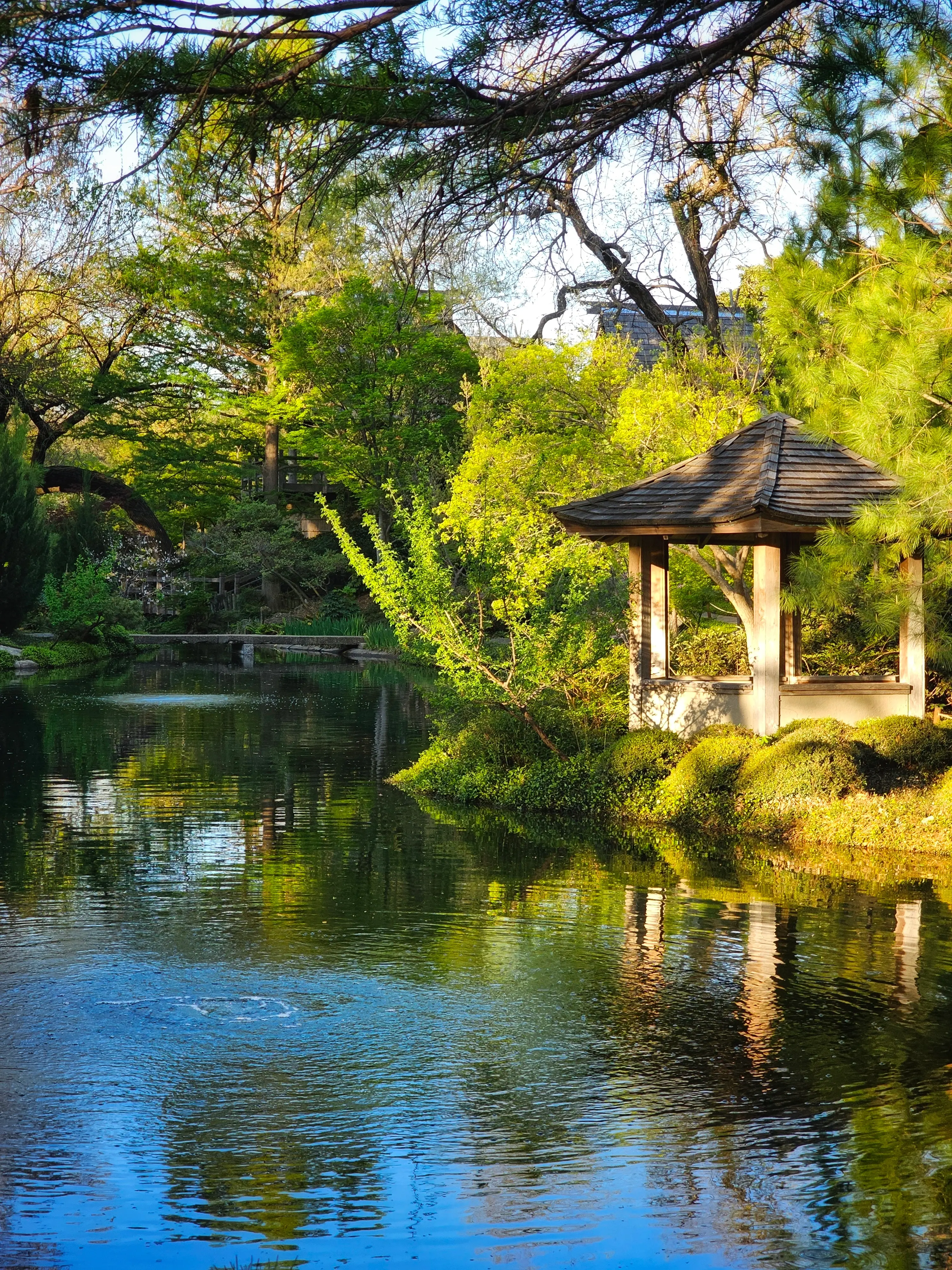 Botanical Gardens in Fort Worth, Texas